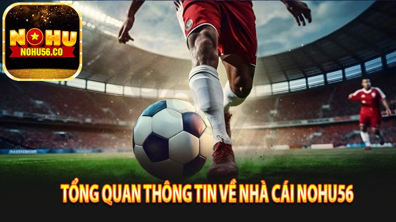 Tổng quan thông tin về nhà cái Nohu56